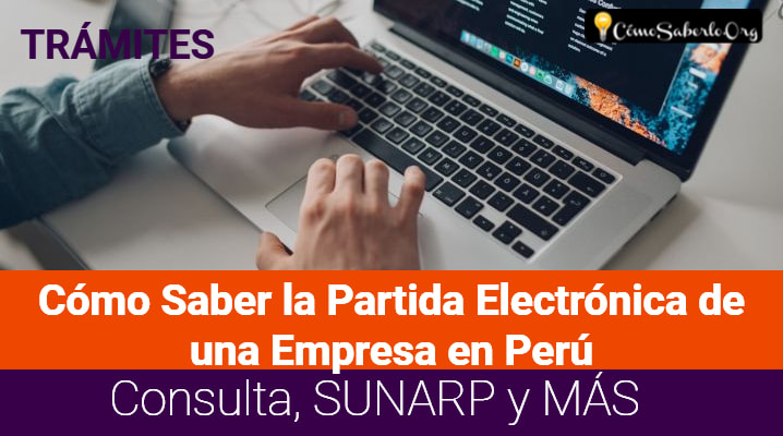 Cómo Saber la Partida Electrónica de una Empresa en Perú