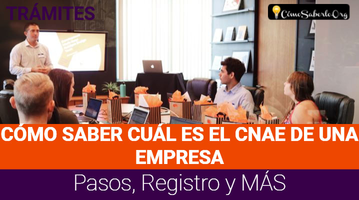 Cómo Saber Cuál es el CNAE de una Empresa