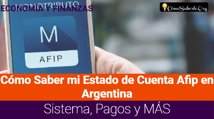 Cómo Saber mi Estado de Cuenta Afip en Argentina